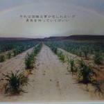 憲法情報Now＜シネマ・DE・憲法＞ （76） 『東京平和映画祭 for youth 「あなたが戦地に行く前に・・・」 ～マスメディアが伝えない本当の話