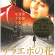 サラエボの花